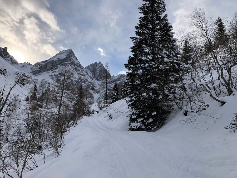 Nach zwei Kehren entdeckten wir die ersten Spuren, die vom Hang zurück auf die Forstraße kamen. Es kommt noch eine Schleife, dann geht es ein kurzes Stück gerade weiter bis zur Abzweigung. Foto: Protect Our Winters