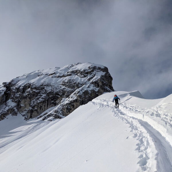 Der Grat zwischen Gargglerin im Süden und dem niedrigeren Eningkopf im Norden. Die Spur führt zu einer breit ausgewehten Fläche, perfekt für die Gipfelrast 1. Foto: Protect Our Winters