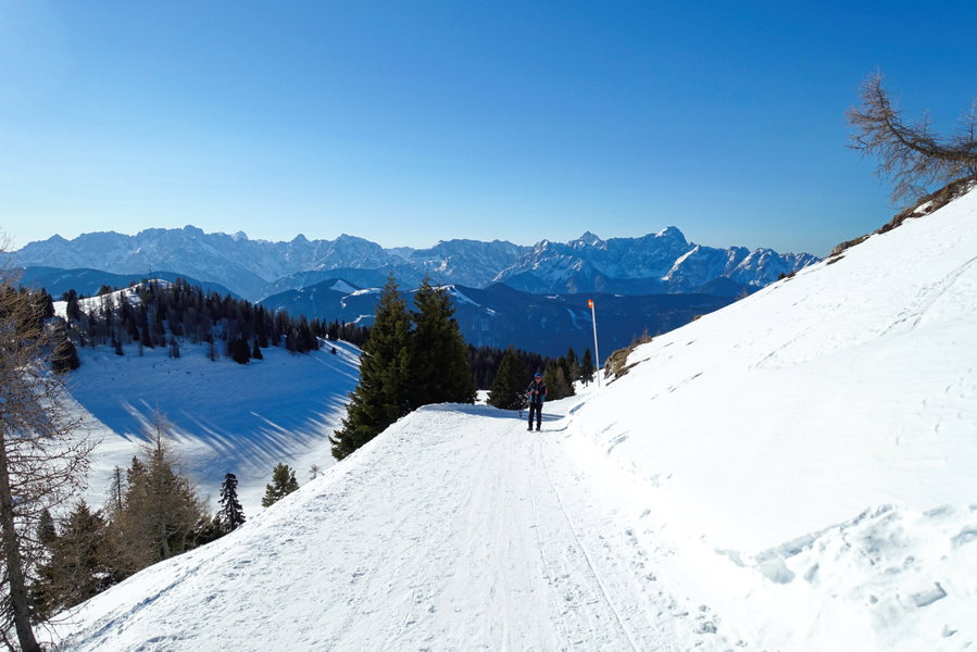 Blick zurück mit den Karawanken im Hintergrund. Foto: Martin Heppner