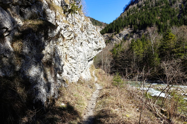 Schmaler Weg entlang der Erlauf. Foto: Martin Heppner