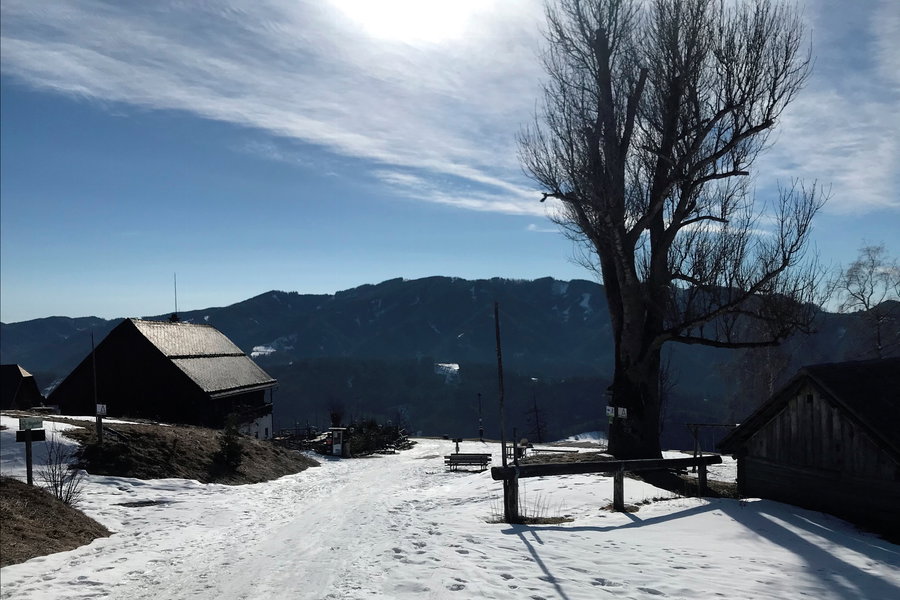 Pierergut oberhalb Alfenz, Foto: David Kurz