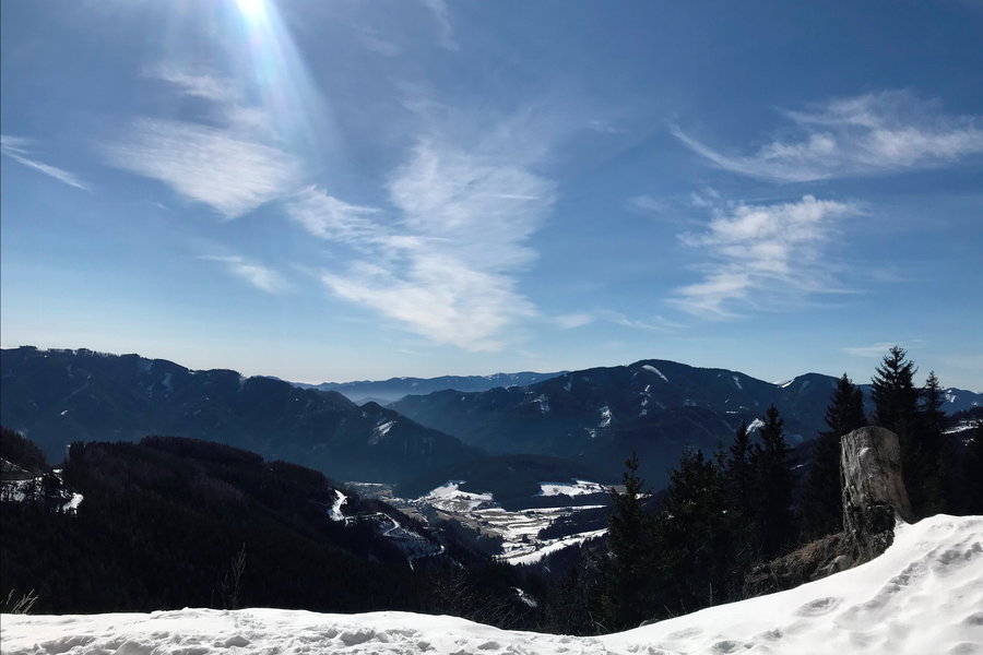 Blick Richtung Südwesten im oberen Drittel des Auftsiegs auf den Almboden der Aflenzer Bürgeralm, Foto: David Kurz