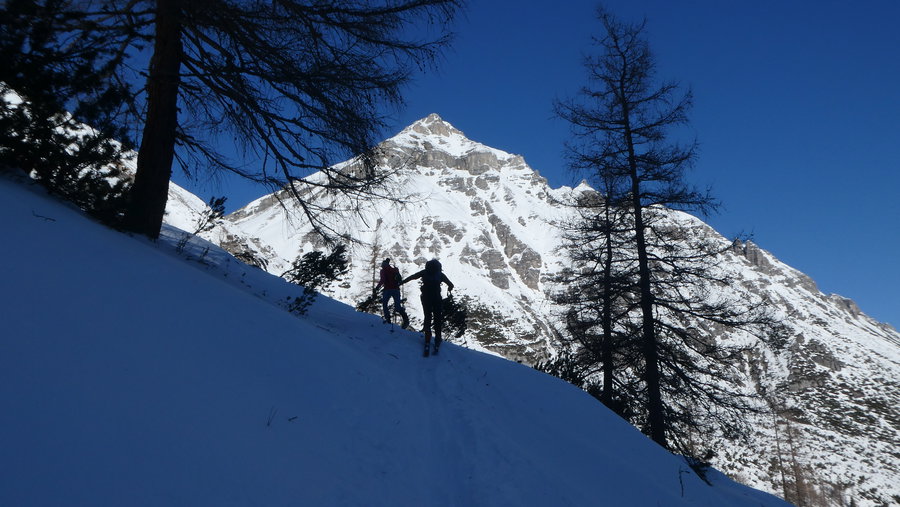Scherenschnitte. Foto Karl Plohovich