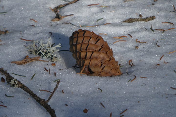 Kunstwerke. Fotos Karl Plohovich