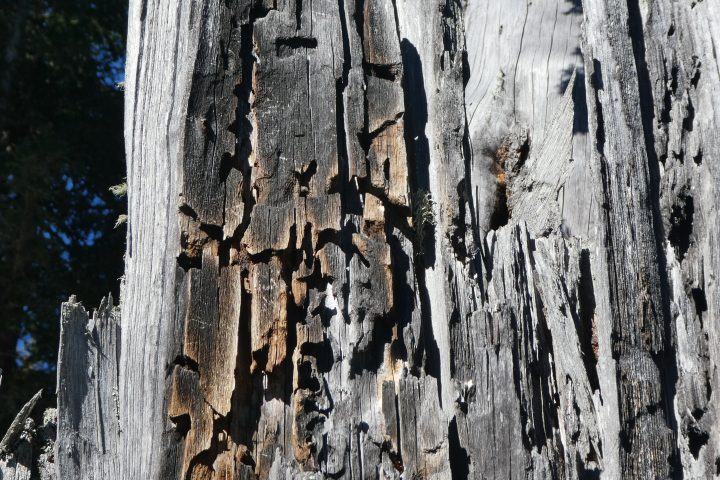 Kunstwerke. Fotos Karl Plohovich