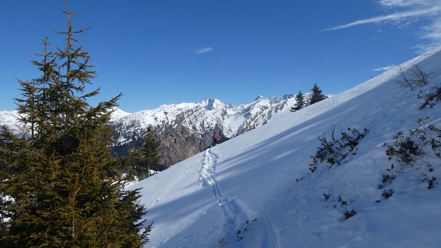Querungen kommen in die Quere. Foto Karl Plohovich