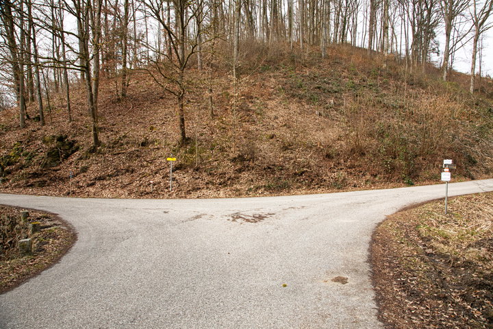 Links zum Wanderweg 190. Foto: E. M. Ginal