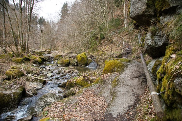 Pesenbach. Foto: E. M. Ginal