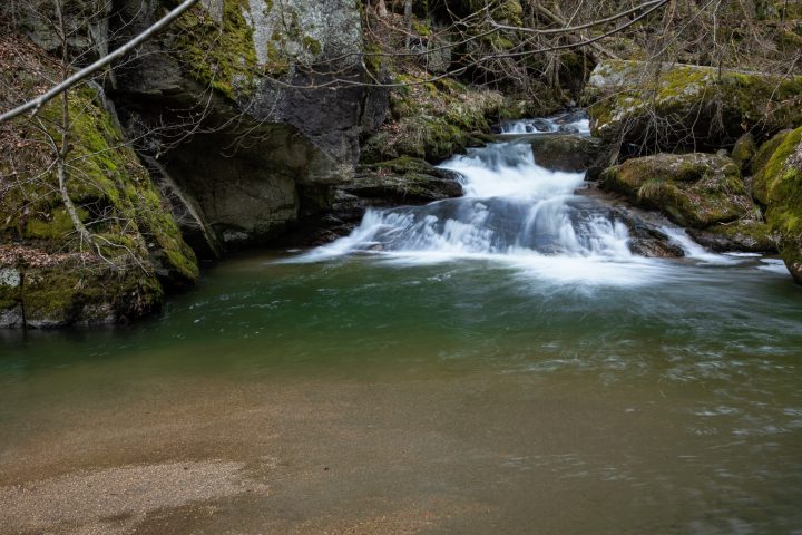 Impressionen vom Pesenbach 1. Foto: E. M. Ginal