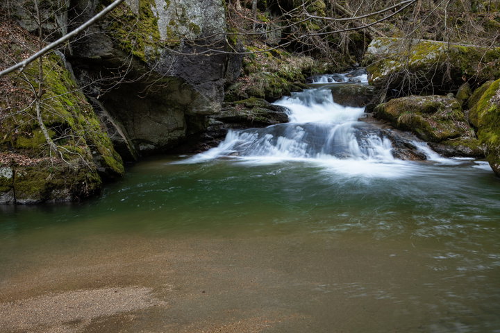 Impressionen vom Pesenbach 1. Foto: E. M. Ginal