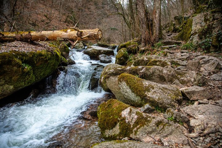 Impressionen vom Pesenbach 2. Foto: E. M. Ginal