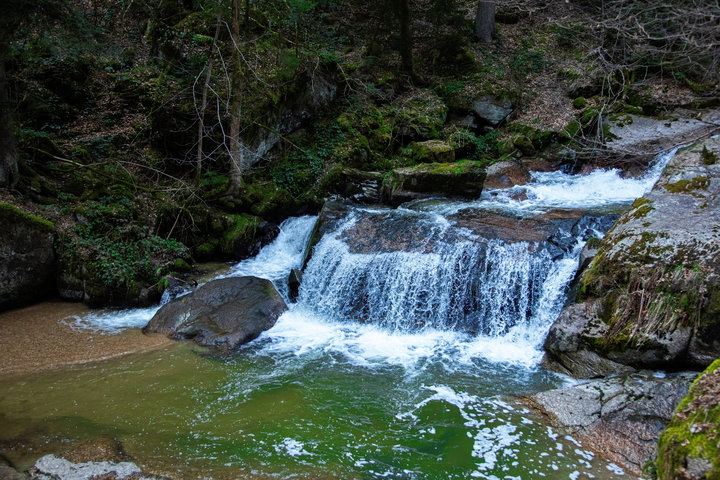 Impressionen vom Pesenbach 3. Foto: E. M. Ginal