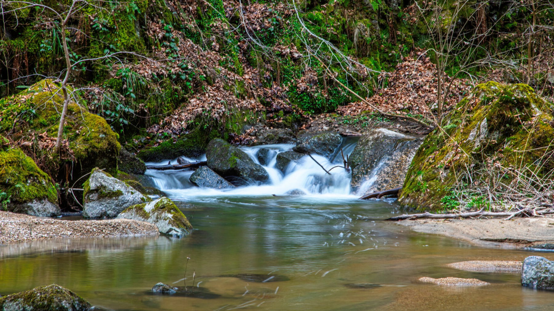 Impressionen vom Pesenbach 4. Foto: E. M. Ginal
