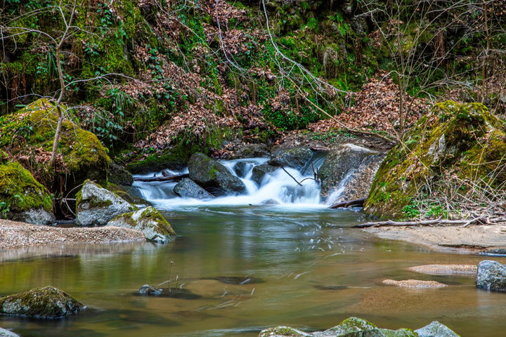 Impressionen vom Pesenbach 4. Foto: E. M. Ginal