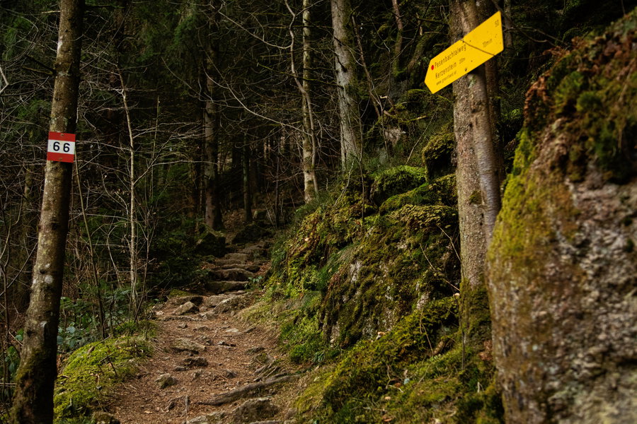 Aufstieg zum Kerzenstein. Foto: E. M. Ginal