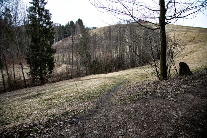 Feldweg zum Pesenbach. Foto: E. M. Ginal