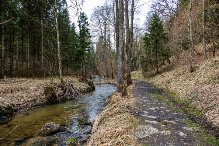 Entlang vom Pesenbach Richtung Gerling. Foto: E. M. Ginal