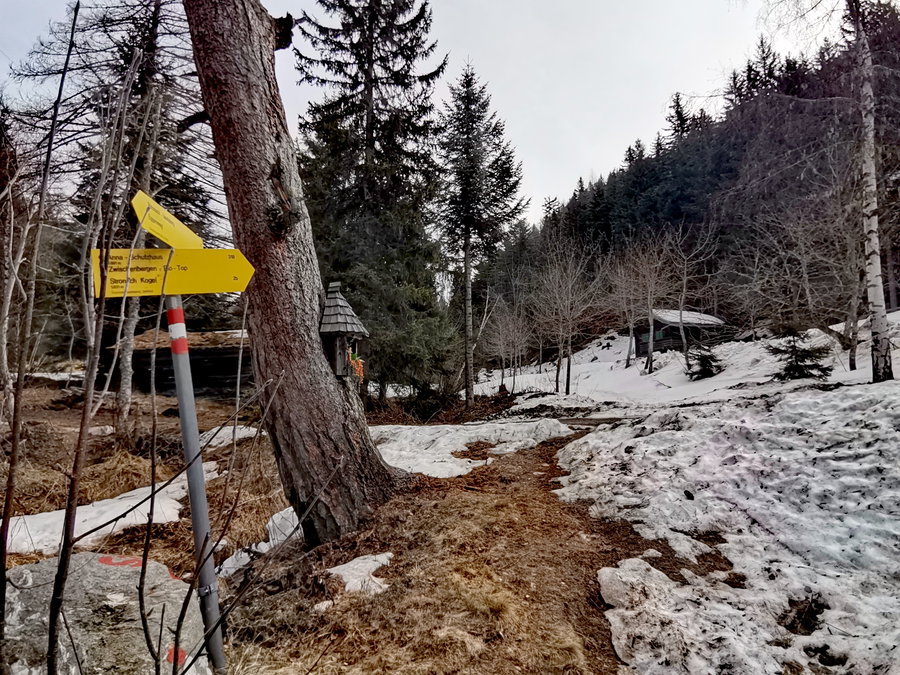 Zwischen den Bergen am Zwischenberger. Foto Veronika Schöll