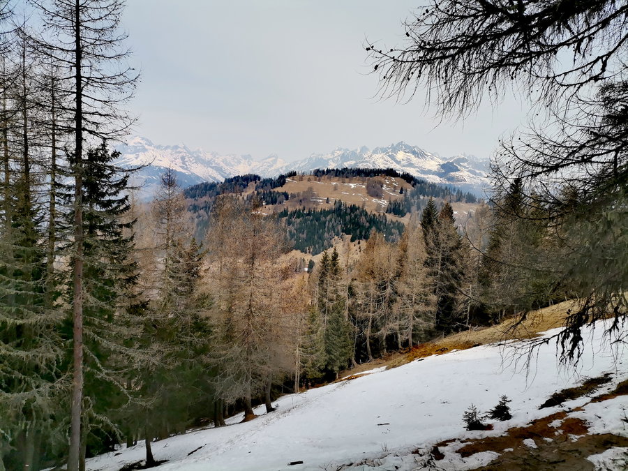 Gegenüber der Stronachkogel - auch ein netter Aussichtsberg und die Schobergruppe. Foto Veronika Schöll