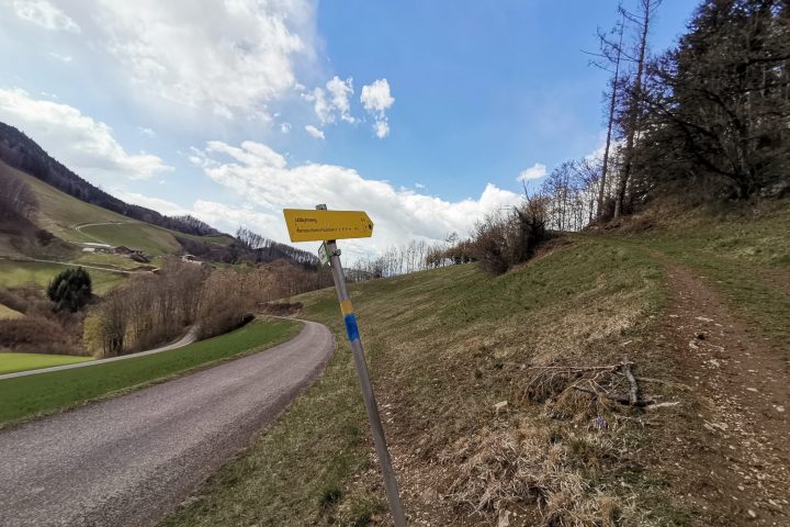 Abbiegen! Schneerosen! Fotos Veronika Schöll