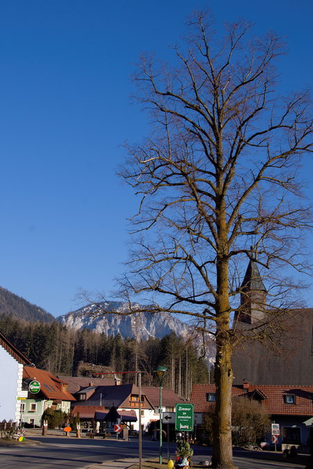 Pichl. Foto: Franz Haas