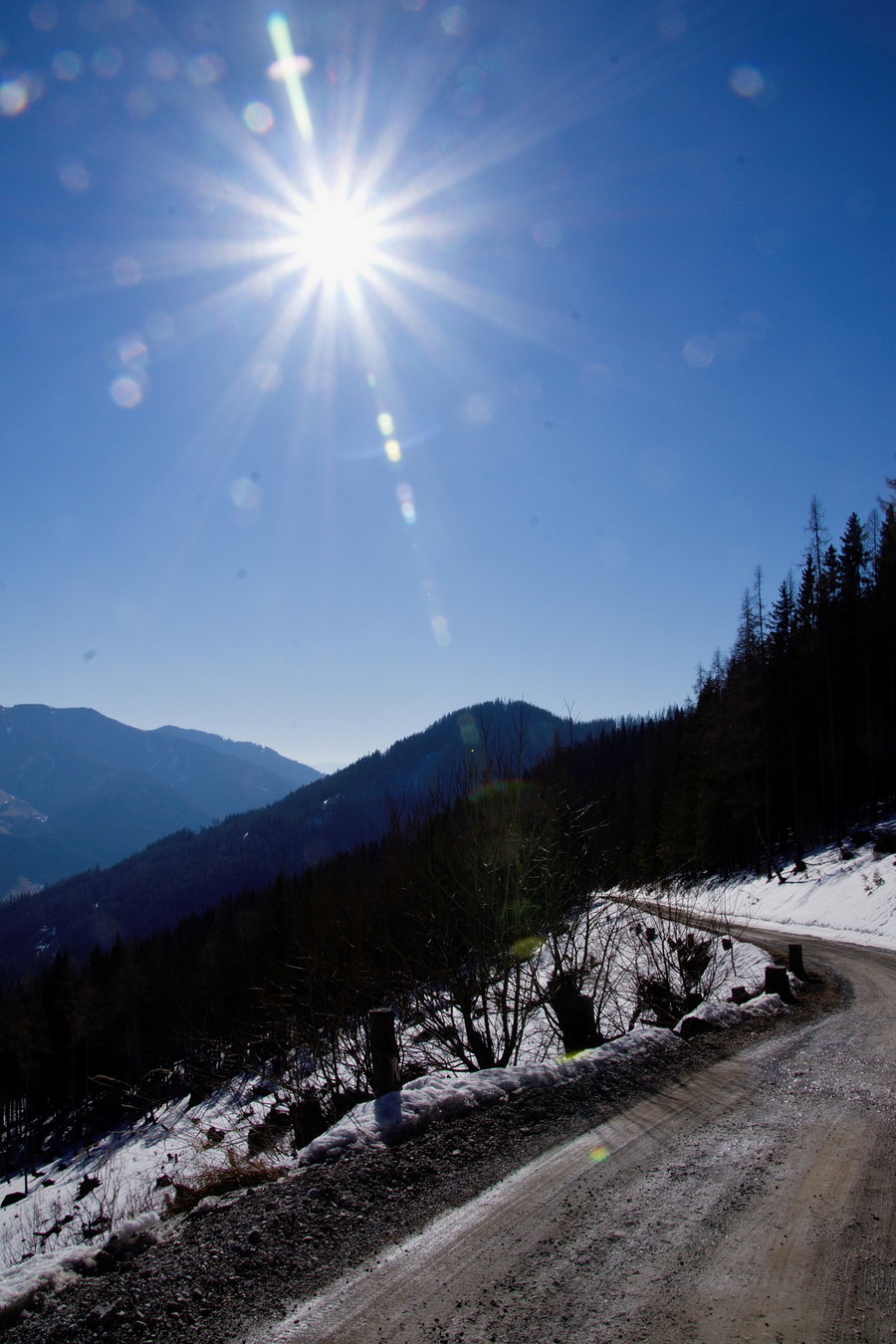 Kurzer Blick zurück mit Wegbeschaffenheit und strahlender Sonne. Foto: Franz Haas