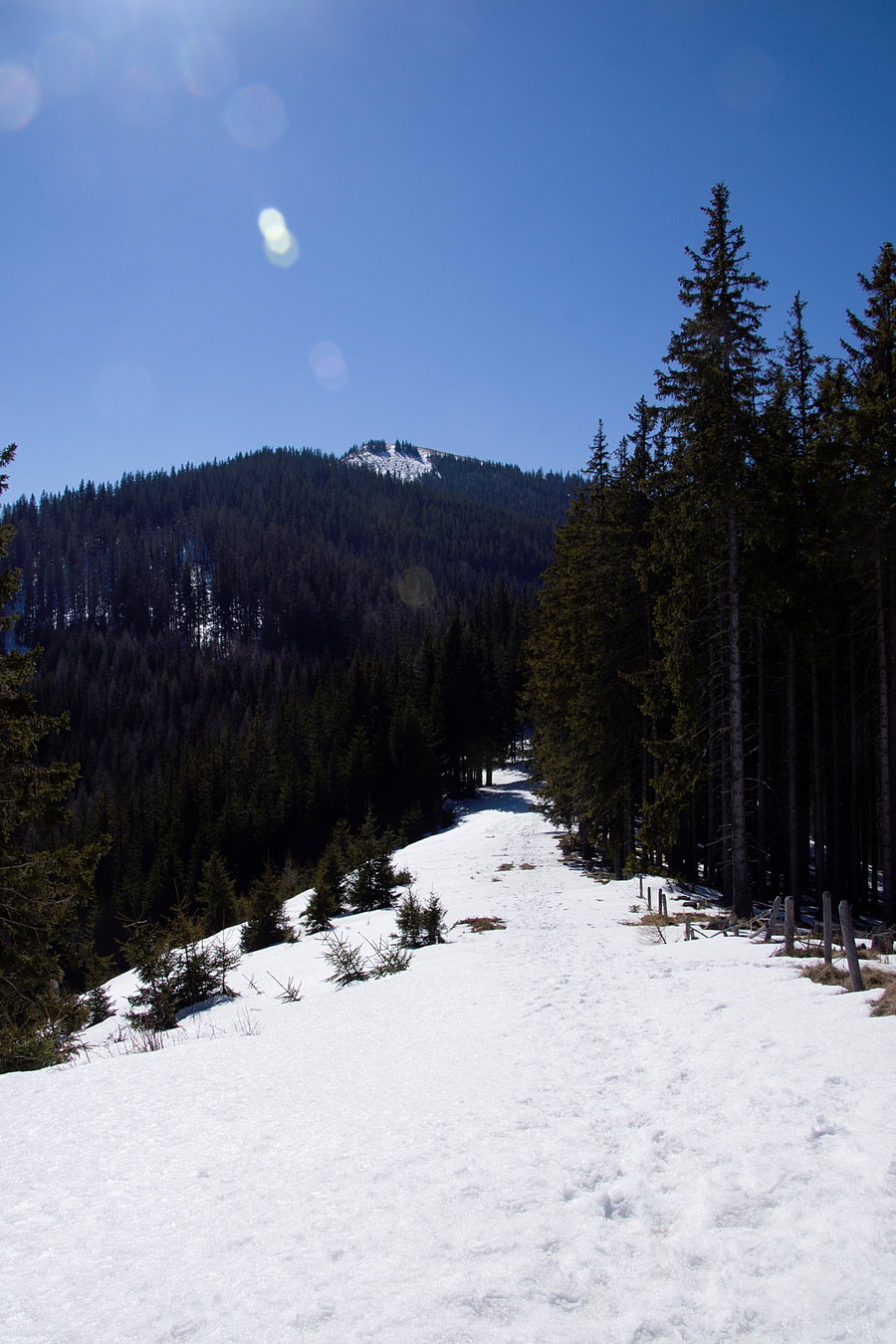 In der Bildmitte ist der höchste Punkt unserer Wanderung zu sehen… der Thalerkogel. Foto: Franz Haas