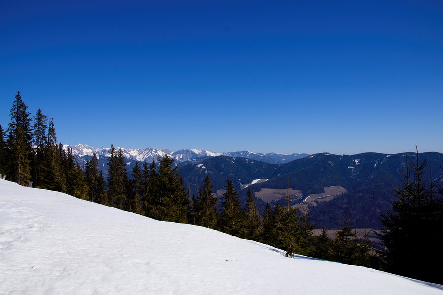 Das Hochschwabgebiet im Hintergrund. Foto: Franz Haas