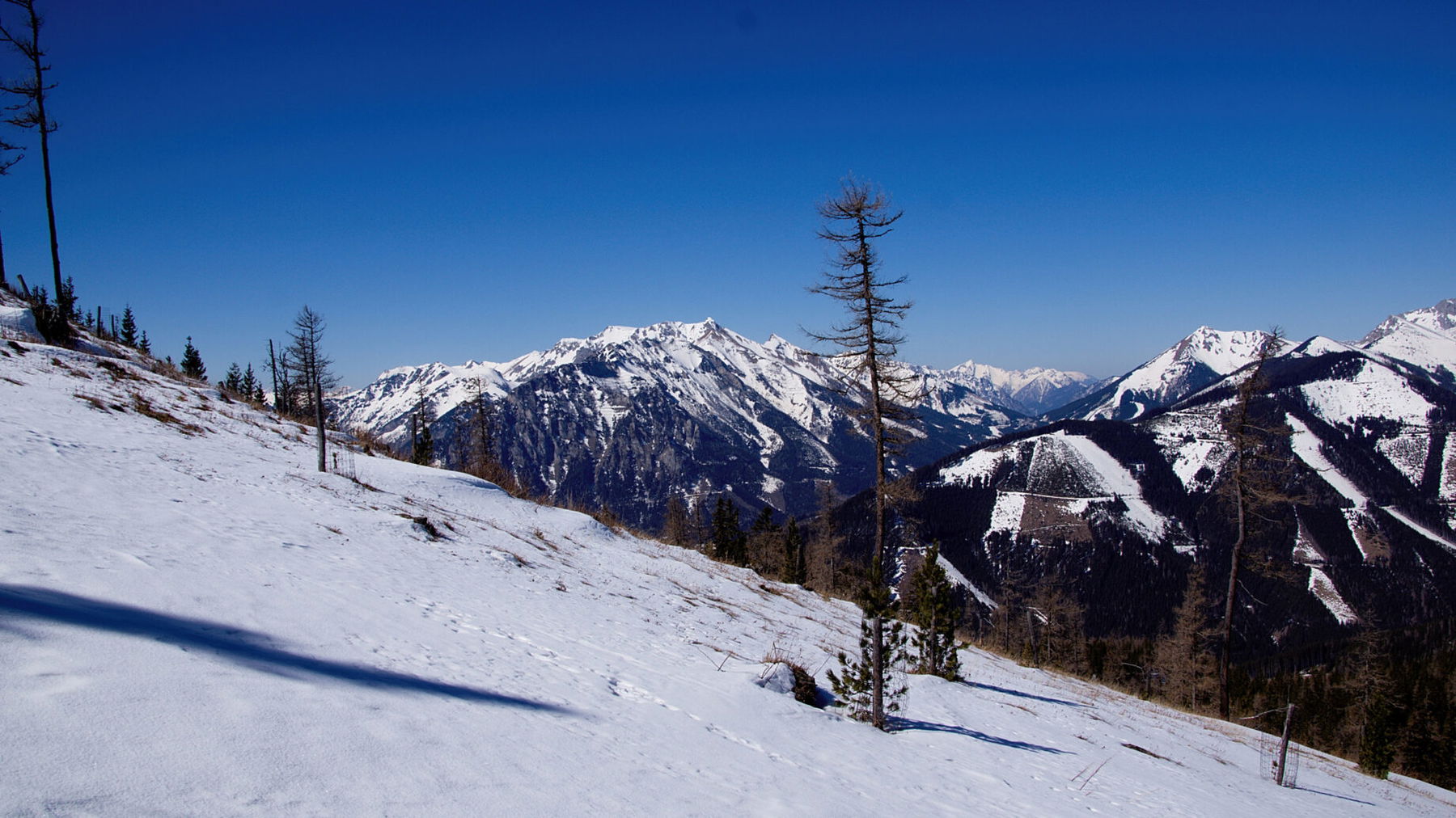 Impressionen vom Aufstieg 2. Foto: Franz Haas