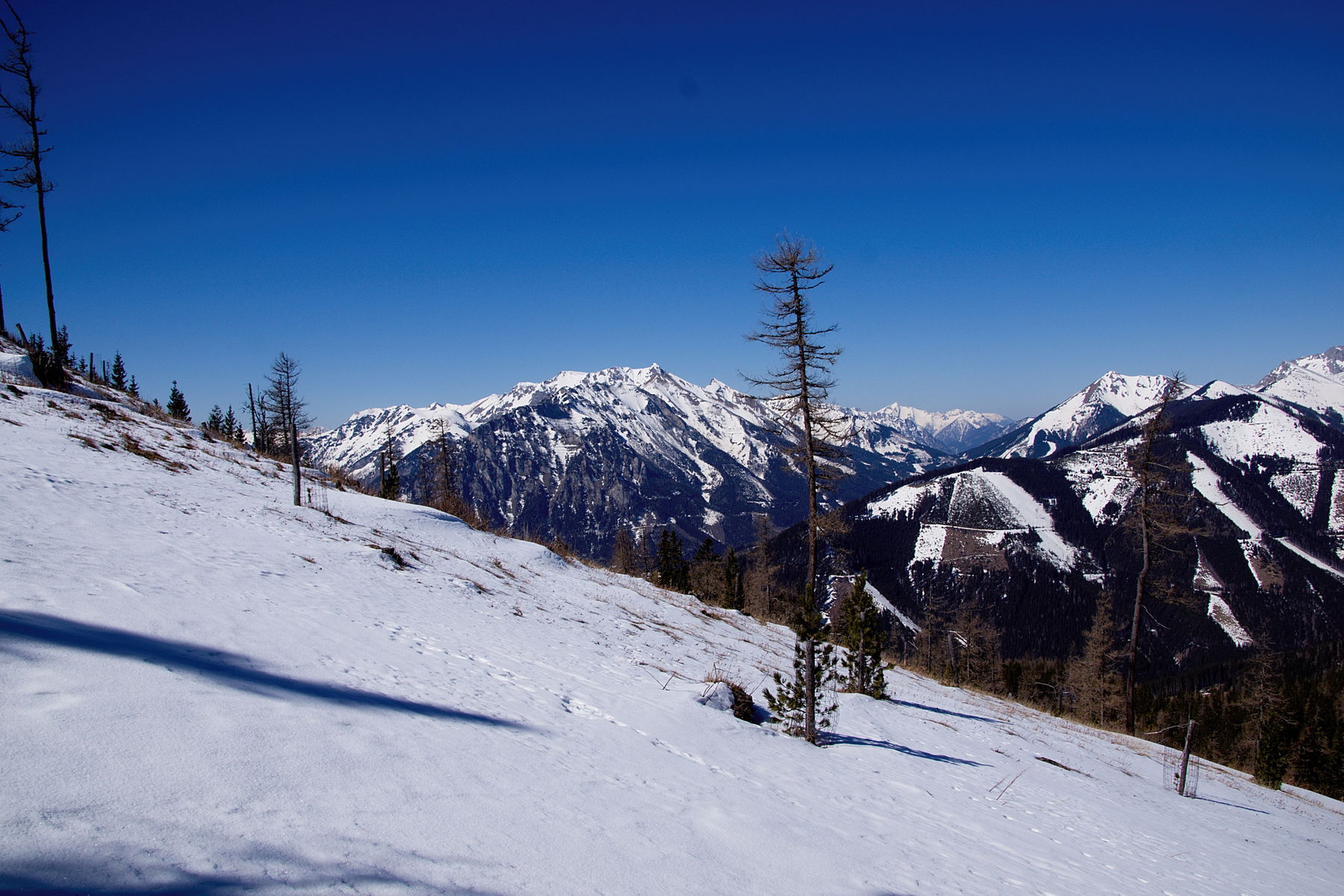 Von Pichl über den Thalerkogel nach Trofaiach