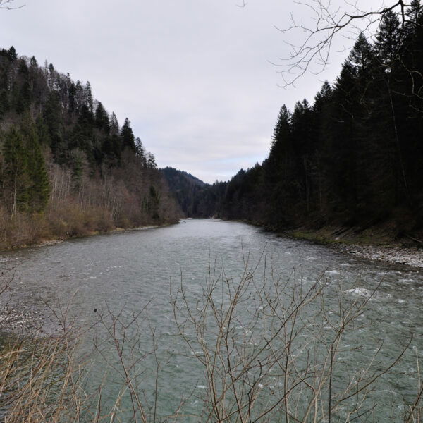 Eine gemütliche Wanderung flussaufwärts der Bregenzerach entlang, die wir zu jeder Jahreszeit empfehlen können. Foto: Norman und Lisa