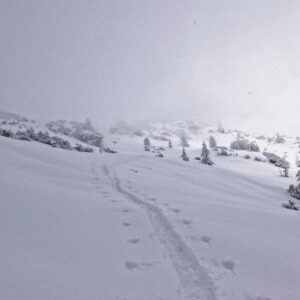 Skitour über die Gnadenalm auf den Koners