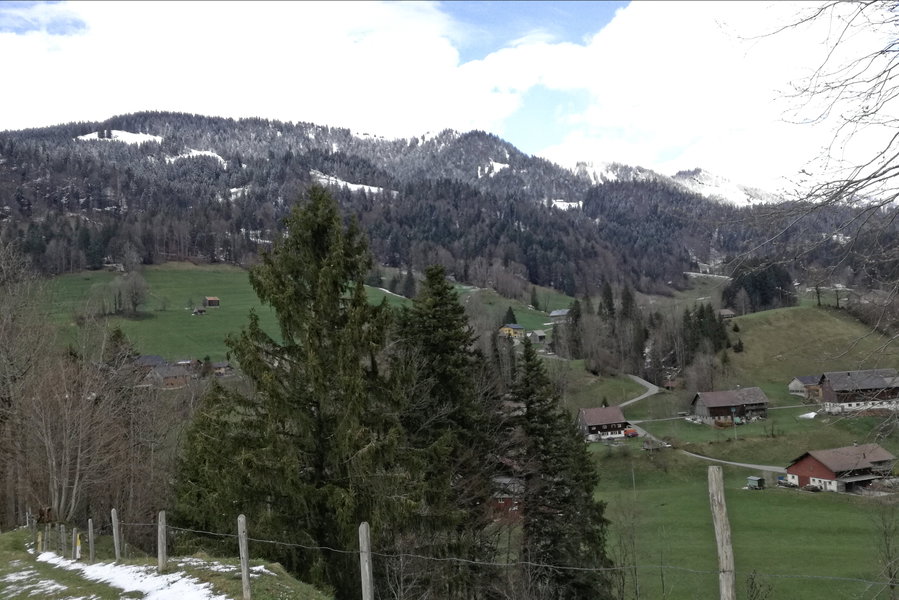 Rückblick auf die Wanderung: Hinten rechts der Grat Hochäderich-Falken, unterhalb der Fichten fließt die Bolgenach. Foto: Elisa Korn