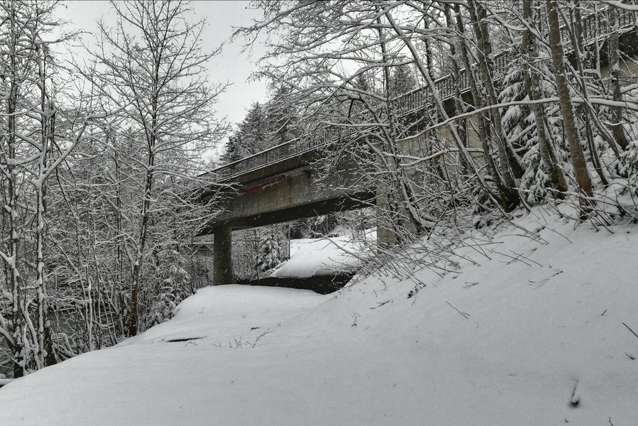 Unter dieser Brücke der Landstrasse geht’s hindurch, dahinter ist gleich die Fußgängerbrücke. Foto: Elisa Korn