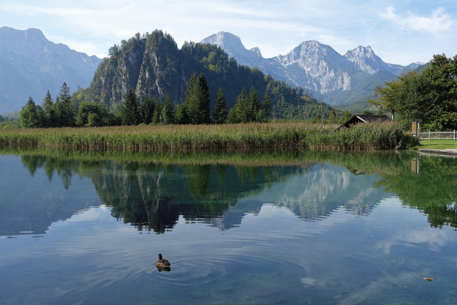 Almsee. Foto: Gerold Petritsch