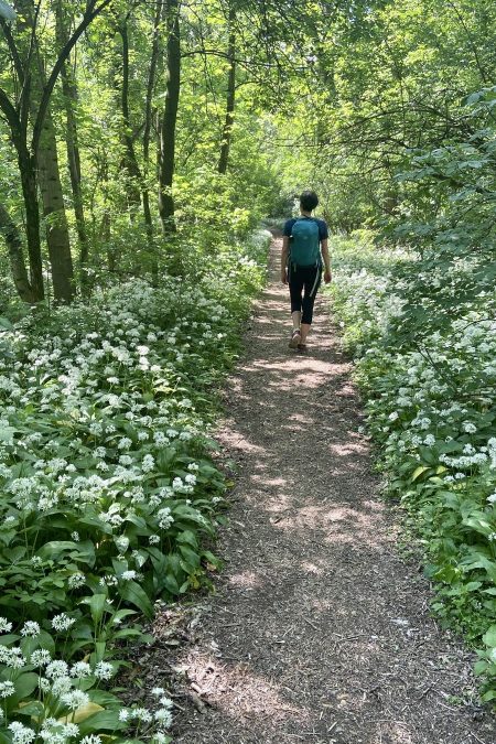 Blühender Bärlauch und eine Smaragdeidechse auf Brautschau. Fotos Verena Hirzenberger
