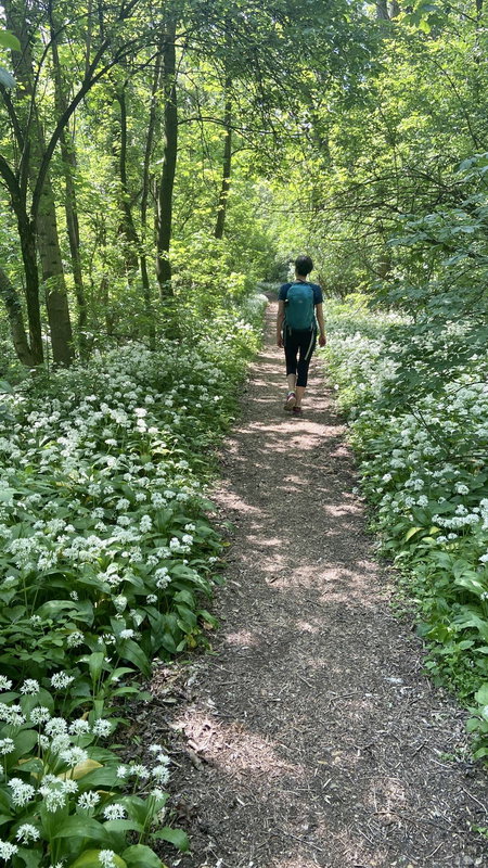 Blühender Bärlauch und eine Smaragdeidechse auf Brautschau. Fotos Verena Hirzenberger