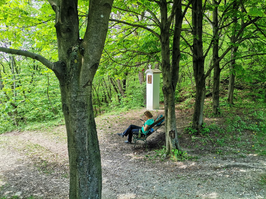 Beim Weißen Kreuz: Links im Bild der steile Weg, den wir gewählt haben. Foto Veronika Schöll