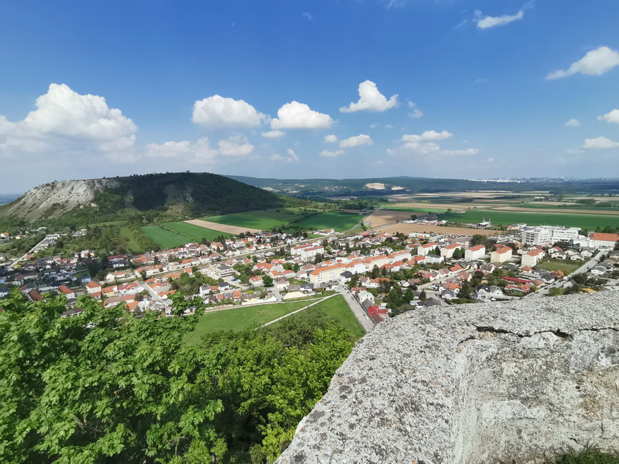 Der Braunsberg und rechts fast die Skyline von Bratislava. Foto Veronika Schöll