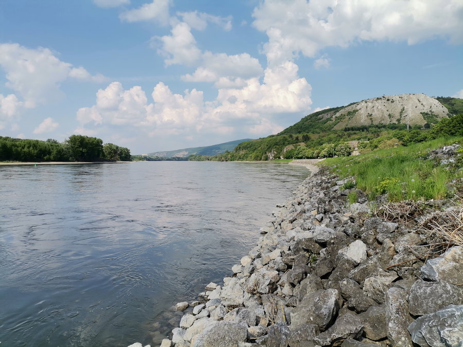 An den Gestaden der Donau, im Blick den Braunsberg. Foto Veronika Schöll