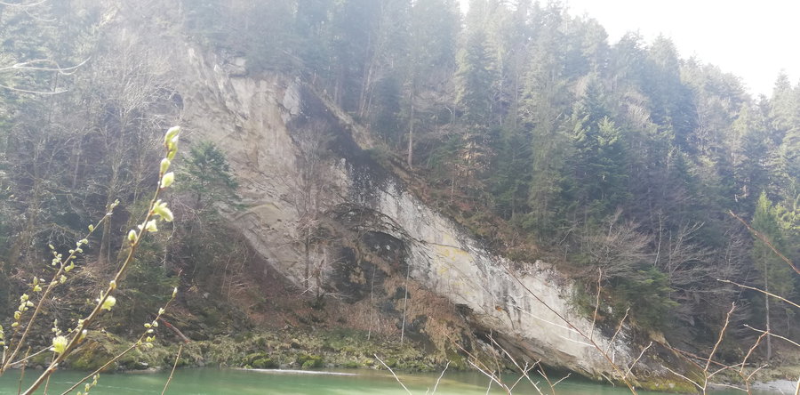 Am gegenüberliegenden Flussufer wachst dichter Fichtenwald und ab und zu kommen Sandsteinfelsen zum Vorschein. Foto: Norman und Lisa