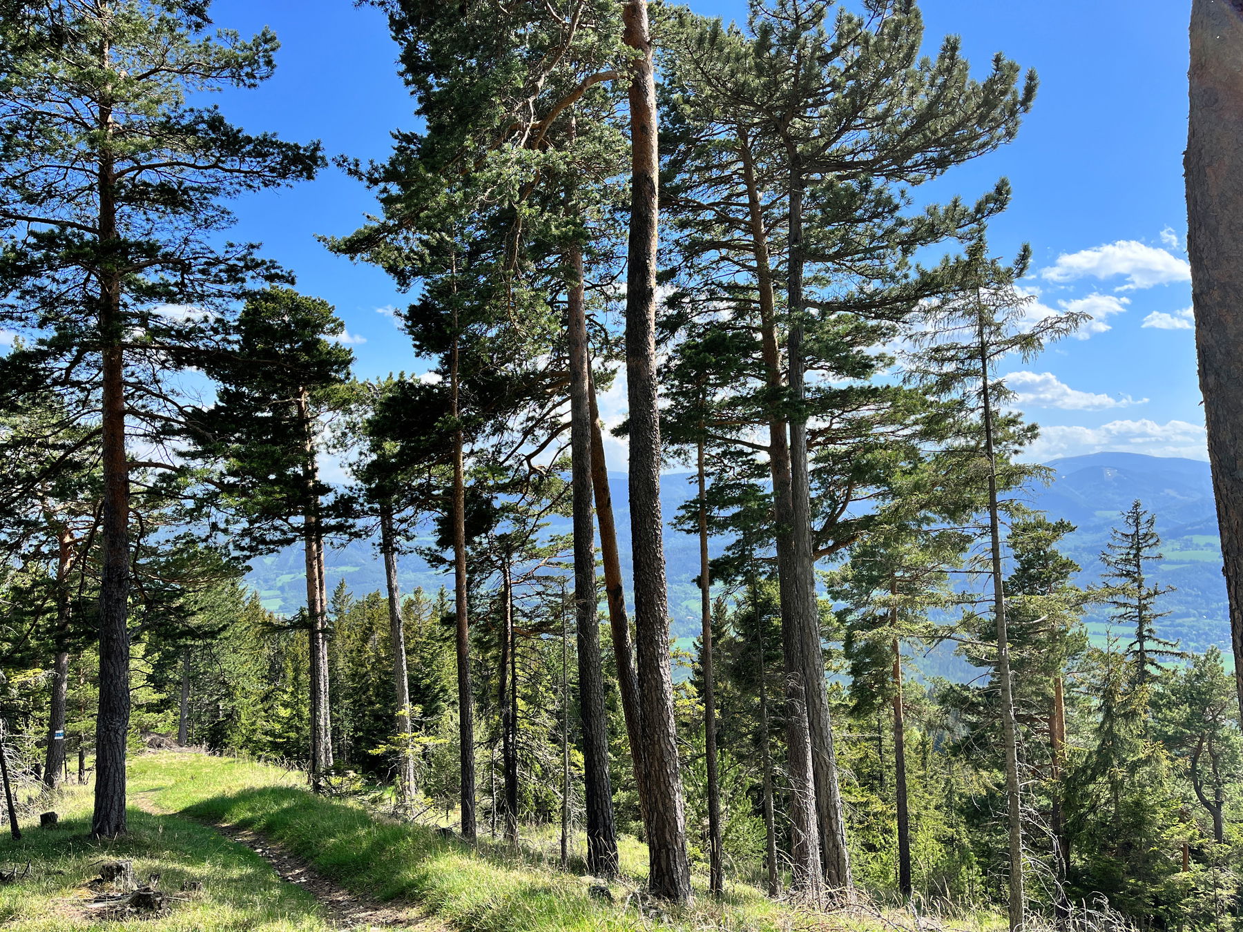 Am Gahns: Payerbach-Reichenau bis Gloggnitz