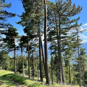 Am Gahns: Payerbach-Reichenau bis Gloggnitz