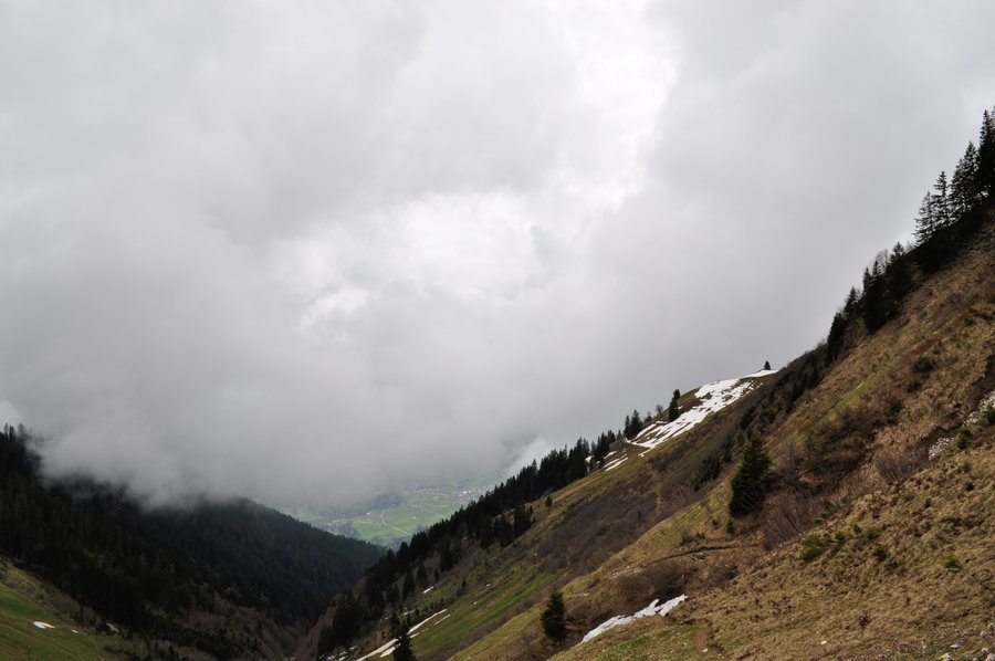 Blick Richtung Gaßneralpe und ins Walsertal hinab. Foto: Norman und Lisa