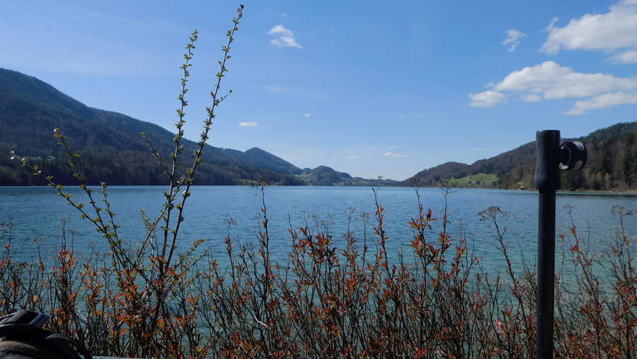 Blick vom Gastgarten. Foto: Karl Plohovich