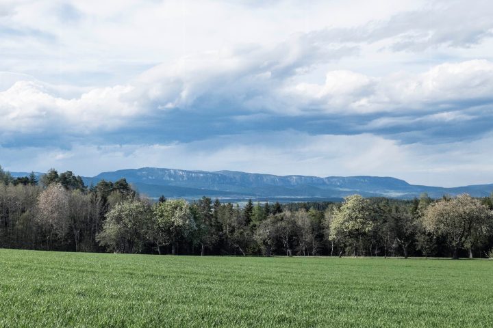 Die Hohe Wand in ihrer ganzen Länge. Foto: Birgit Reiter