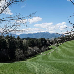 Wunderschöne Wald-und Wiesenwanderung von Kirchberg am Wechsel nach Scheiblingkirchen