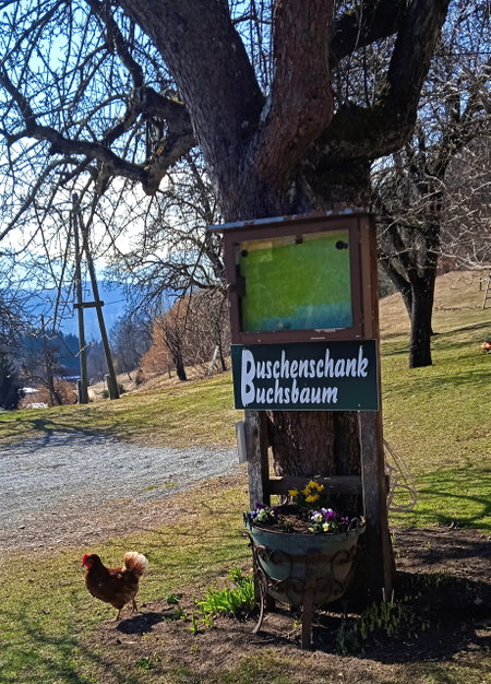 Buschenschank Buchsbaum. Foto: Birgit Frank