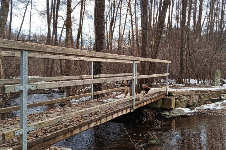 Moorlandschaft beim Hafnersee 1. Foto: Birgit Frank