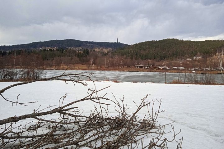 Moorlandschaft beim Hafnersee 2. Foto: Birgit Frank
